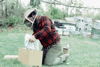 Adding bees from the blanket