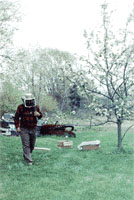 Letting the swarm rest